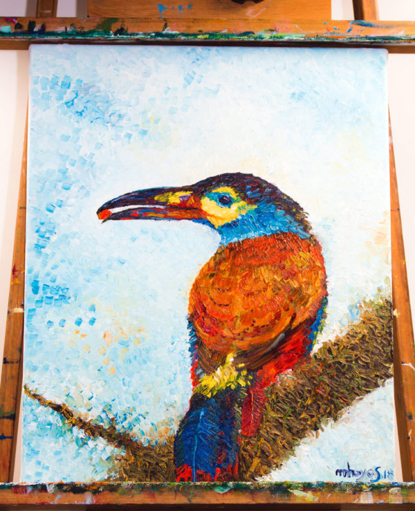 Toucan painting