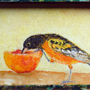 Oriole at bowl painting