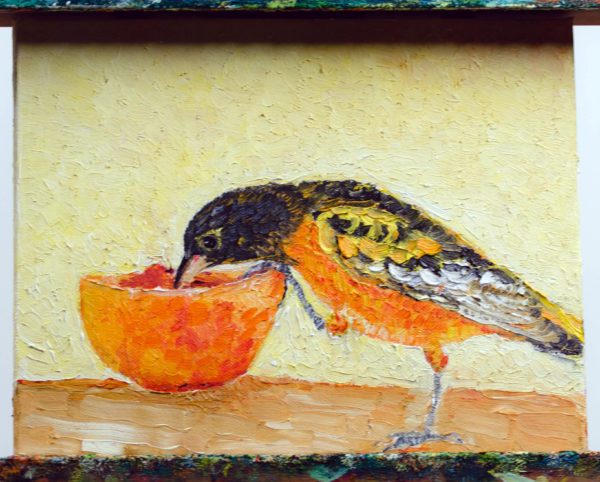 Oriole at bowl painting