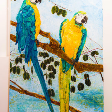 Hyacinth Macaw Painting